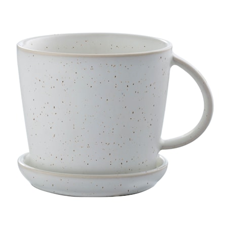Tea Cup with Saucer - White / Dotted