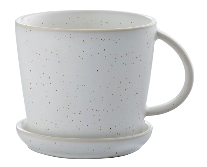 Tea Cup with Saucer - White / Dotted