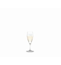 Perfection Champagne Glass Transparent 23 cl 1 pcs