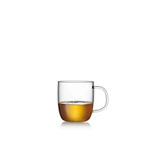 Café Mugg 2-pack 45 cl Glas Klar