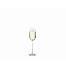 Fontaine Champagneglas klar 21 cl