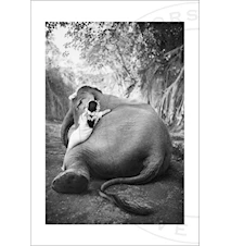 Adele & Ketut fotoprint - 100x70