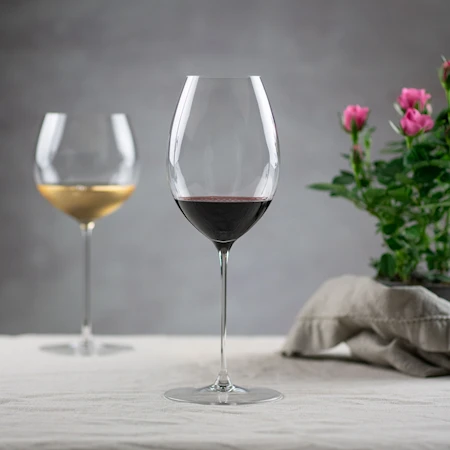 Vinglas Hermitage/Syrah 1-pack Klar