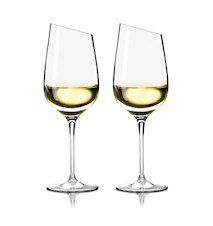 Wine Glass Riesling 2 Pcs