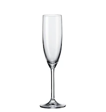 Daily champagneglass 20 cl 6-pakning