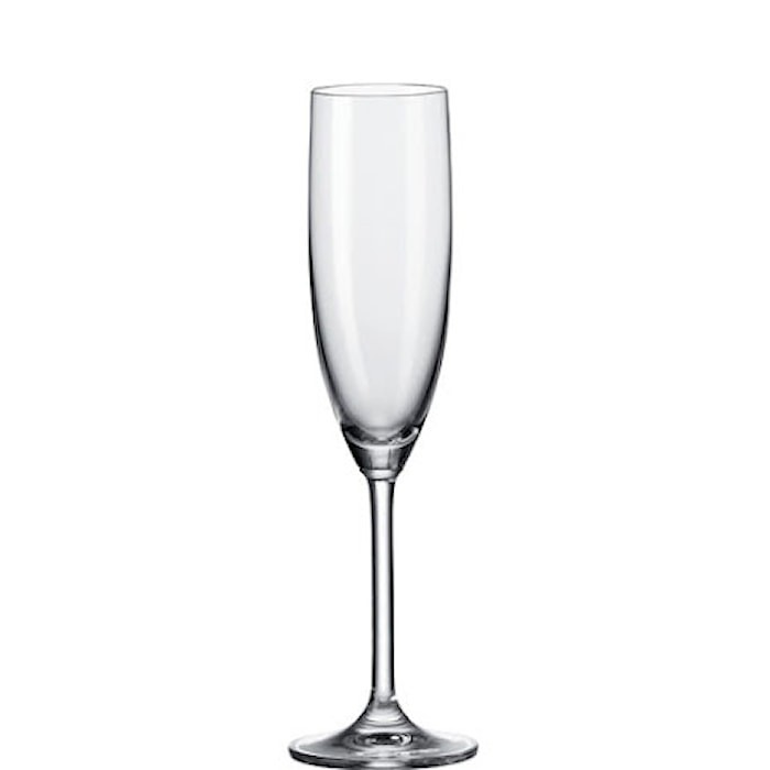 Daily champagneglass 20 cl 6-pakning
