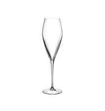 LB Atelier Champagneglas / Prosecco 27cl 2-pc