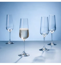 Ovid Champagne Glass 25 cl 4-pack