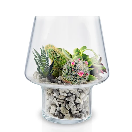 Vaso in vetro per succulente Ø15cm