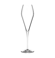 Fantasy Champagneglas , 29 Cl, 270 Mm Höga, Set Med Två
