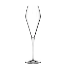 Fantasy champagneglass 29 cl, 270 mm høye, sett med to