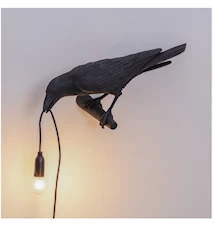 Bird Lamp Looking Svart
