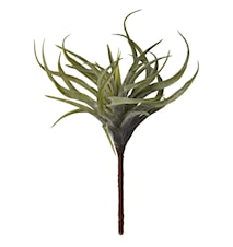 Succulente Flora H 22 cm