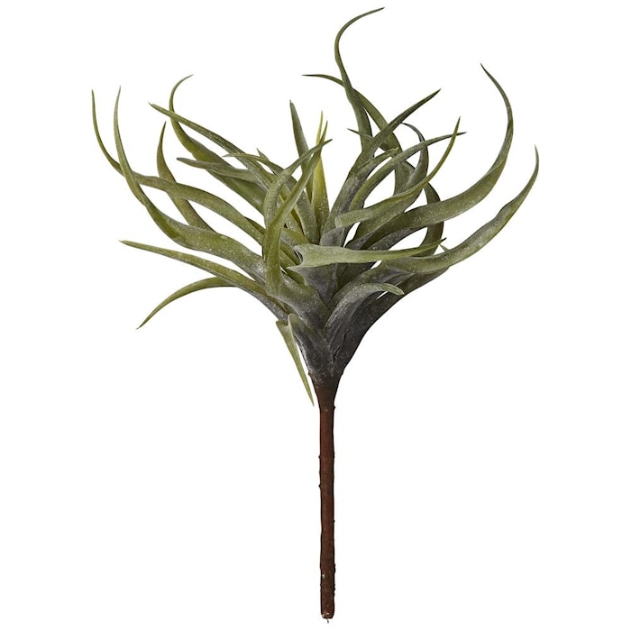 Flora succulent H22 cm