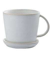Tea Cup with Saucer