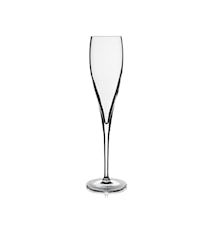 Vinoteque champagne perlage kl