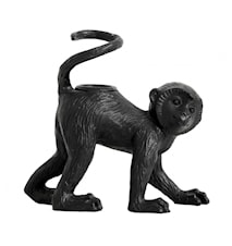 Palva Monkey Lysestake