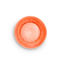 Basic Lautanen Orange 25 cm