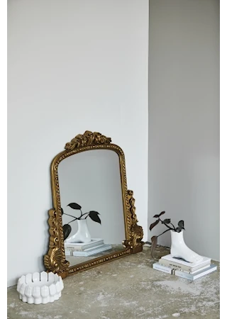 Bird speil, gull S
