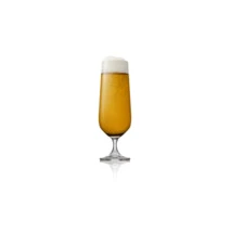 Beer Ölglas 4-pack 38 cl Glas Klar