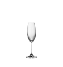 DiVino Champagneglass 22 cl 6-pakk