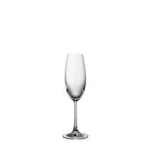 DiVino Champagneglas 22 cl 6-pack