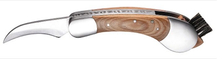Couteau à champignons Porcino avec manche en hêtre sculpté en boîte cadeau