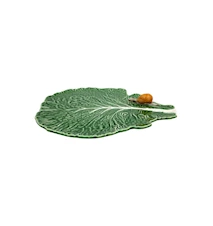 Cabbage Leaf With Snail Natural
