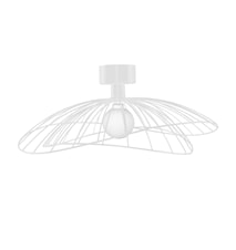 Ray Plafond/Vegglampe Hvit