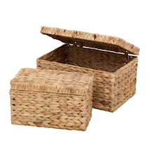 Box med lock Vattenhyacint Fishbone 2 st