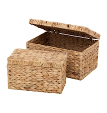 Box with Lid water hyacinth Fishbone 2 pieces