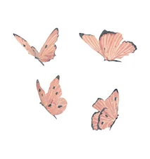 Seinäkoriste Butterflies 4-pakkaus Rose