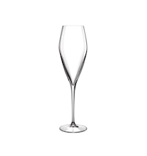 LB Atelier Champagne Glass 27cl Prosecco 2-pack