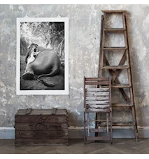 Adele & Ketut valokuvaprintti - 100 x 70