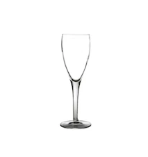 Michelangelo Champagne Glass 16 Cl Clear