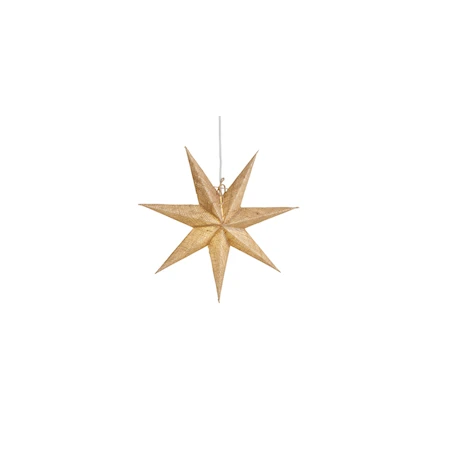 Vera 44 Julstjärna Papper/Jute