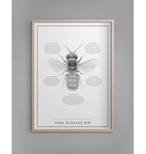 Poster Våra älskade bin 30 x 40 cm