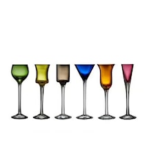 Schnapsglas unterschiedliche Farben 6 Stk